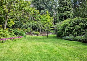 Optimiser l'expérience du jardin à Landricourt